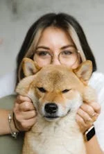 Perawatan Anjing Golden